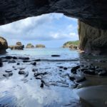 種子島を観光して分かったオススメできる魅力【種子島旅行記】