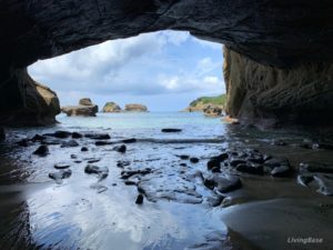 種子島を観光して分かったオススメできる魅力【種子島旅行記】