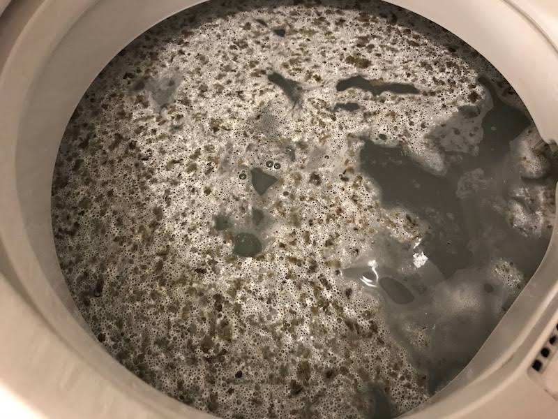 洗濯槽の洗浄で出てきた黒い汚れ
